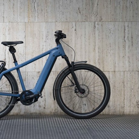 🚲 Sticking With European E-Bikes