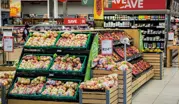 Supermarket Chains Operating in Multiple European Countries