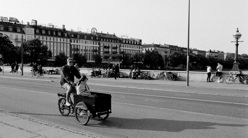 European Cargo & Fat Bikes