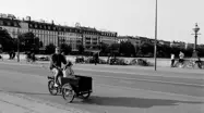 European Cargo & Fat Bikes