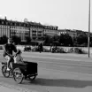European Cargo & Fat Bikes