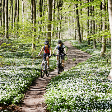 European travel voices worth following