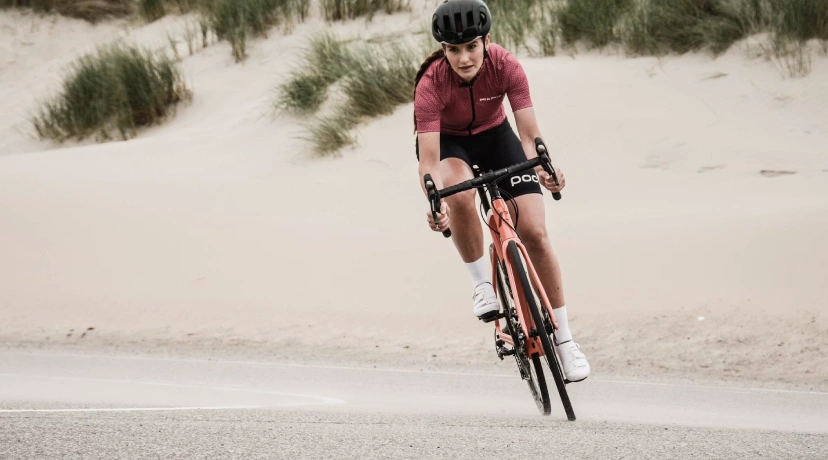 European premium bicycles